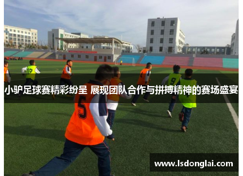 小驴足球赛精彩纷呈 展现团队合作与拼搏精神的赛场盛宴