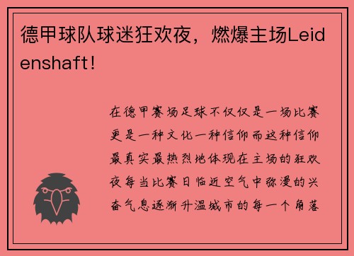 德甲球队球迷狂欢夜，燃爆主场Leidenshaft！